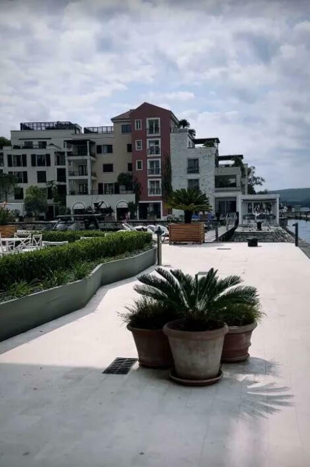 Objava Ivane Pavković