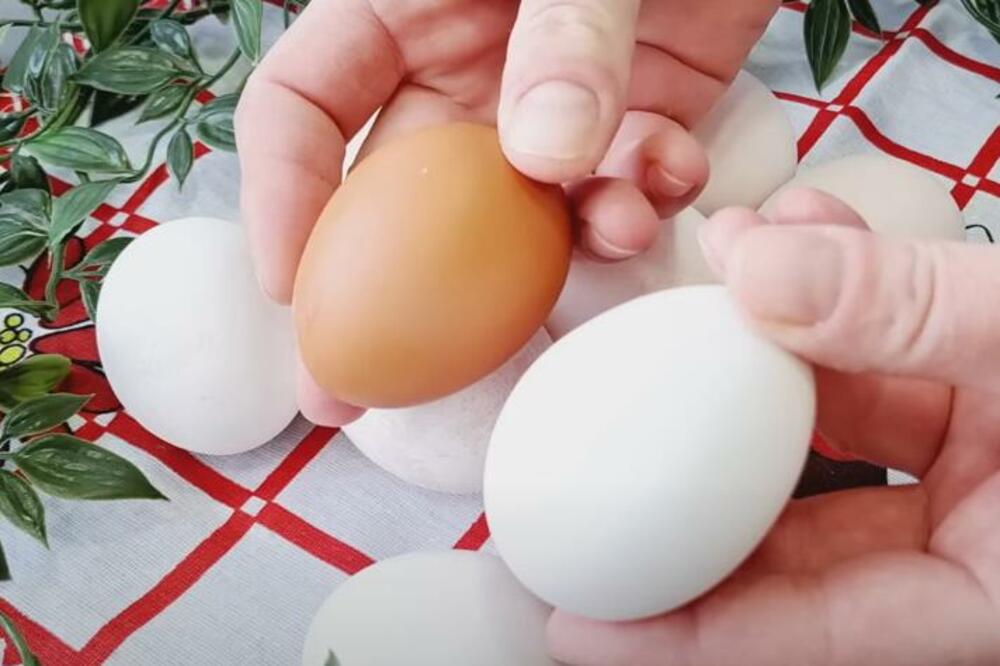 EVO KOLIKO DANA NAJDUŽE SMETE DRŽATI JAJA U FRIŽIDERU: Sve preko ove brojke može da dovede do TROVANJA