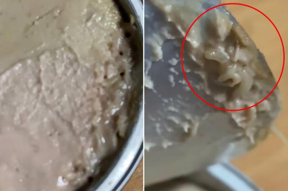 OTVORIO PAŠTETU POZNATOG BRENDA U SRBIJI, PA ZATEKAO JEZIV PRIZOR: Svi su ZGROŽENI, pogledajte OVO! FUJČINA! (FOTO)