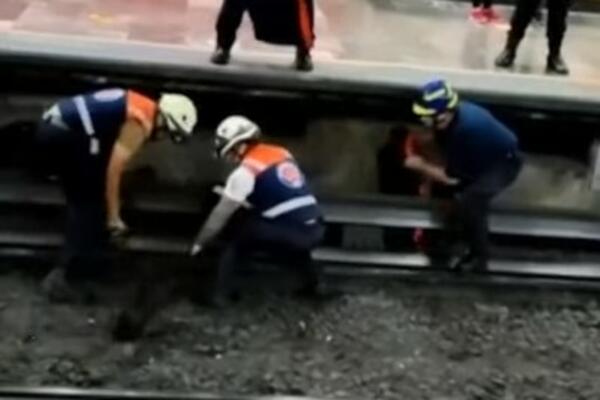 KOKOŠKA NAPRAVILA OPŠTI HAOS U SAOBRAĆAJU: Jurili je po stanici, a tek onda krenula da HAVARIŠE (VIDEO)