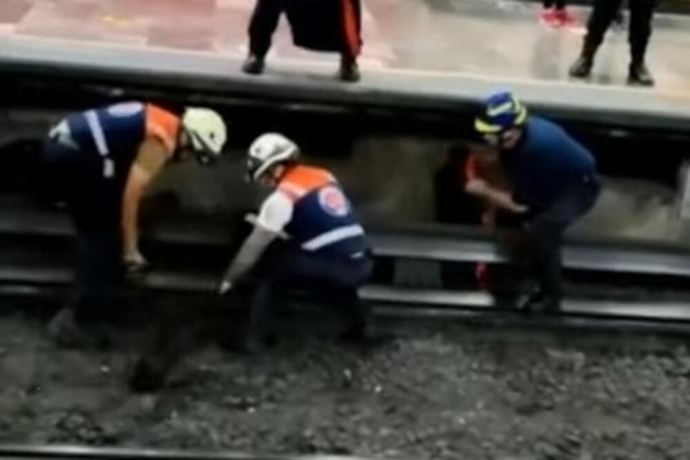 KOKOŠKA NAPRAVILA OPŠTI HAOS U SAOBRAĆAJU: Jurili je po stanici, a tek onda krenula da HAVARIŠE (VIDEO)