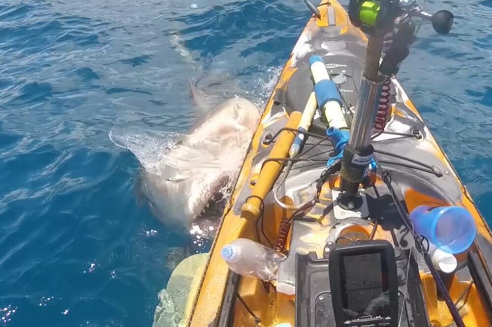 ČOVEK PECAO RIBU, A ONDA MU JE JEZIVO STVORENJE ISKOČILO IZ VODE: Ono što je usledilo LEDI KRV U ŽILAMA (VIDEO)