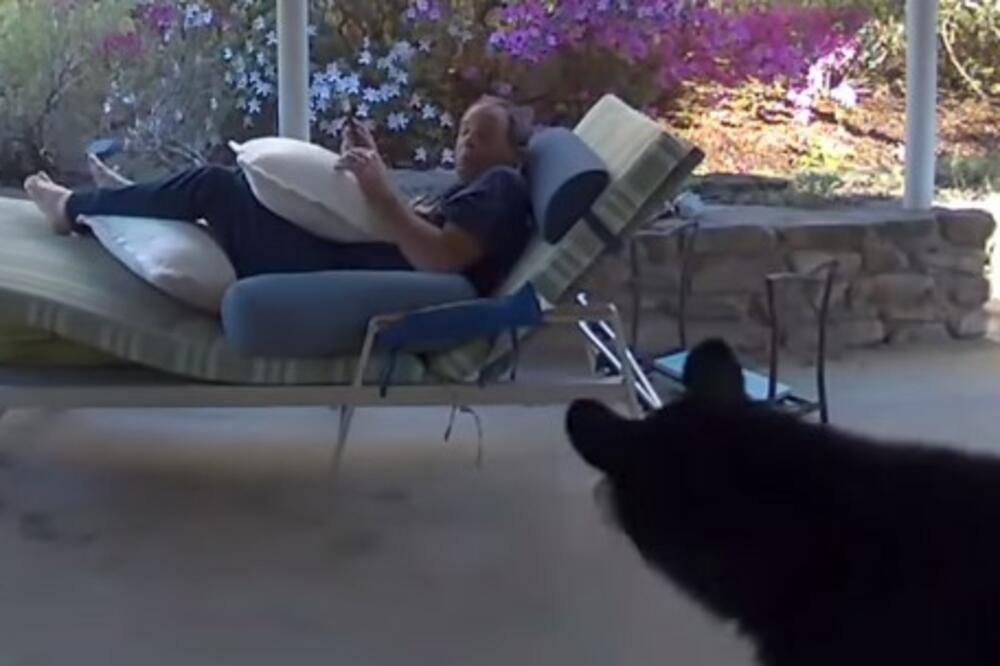 MEDVED MU UŠETAO U DVORIŠTE, A ČOVEK SE SLEDIO OD UŽASA: Ono što je GRDOSIJA potom URADILA je ŠOKIRALO SVE! (VIDEO)