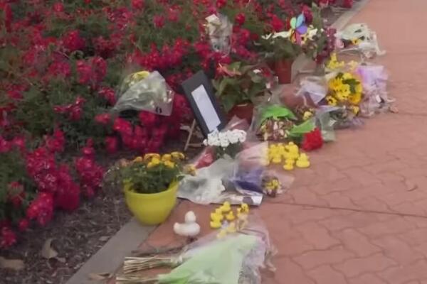 POGINUO DOK JE PAČIĆIMA POMAGAO DA PREĐU PUT: Automobil SVOM SILINOM udario u njega, deca SVE GLEDALA (FOTO/VIDEO)