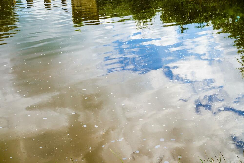 "VODA JE BILA OVAKVA, NISAM SE TUŠIRAO PAR DANA": Fotografija BAZENA sa ZRENJANINSKOM VODOM šokirala LJUDE! (FOTO)