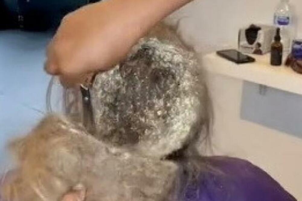 2 GODINE NIJE PRALA KOSU, PA SE POJAVILA U FRIZERSKOM SALONU: Pogledajte samo kako joj je IZGLEDALA GLAVA (VIDEO)