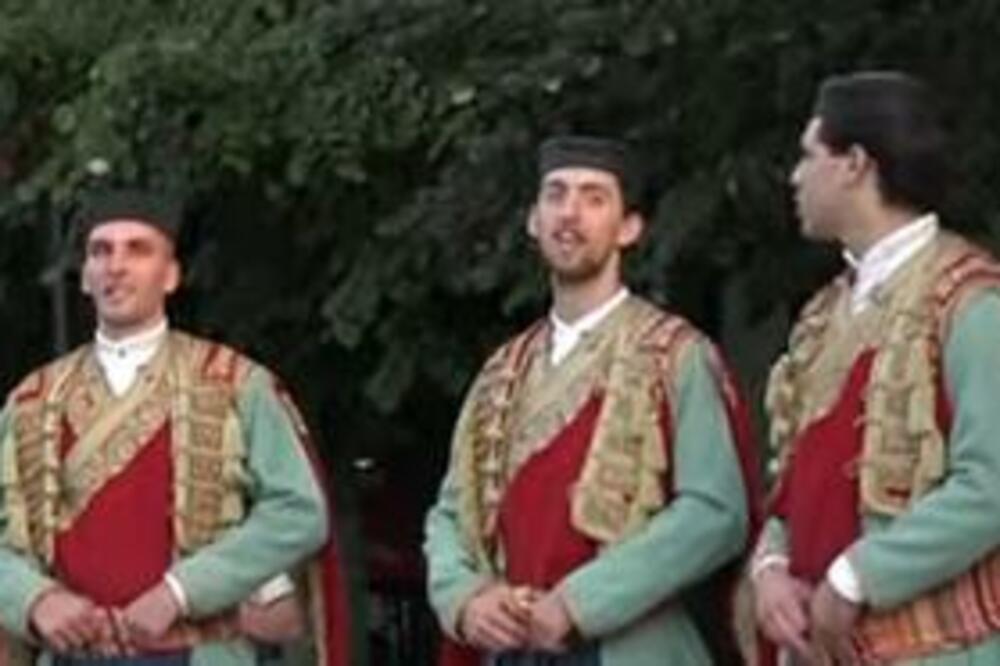 VIC DANA OD KOJEG ĆETE PLAKATI OD SMEHA: Leže dva CRNOGORCA ispod drveta...