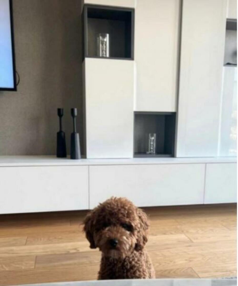 Često uživaju i pored kamina, a nema sumnje da bi im na 'ljubavnom gnezdu' pozavideli mnogi.