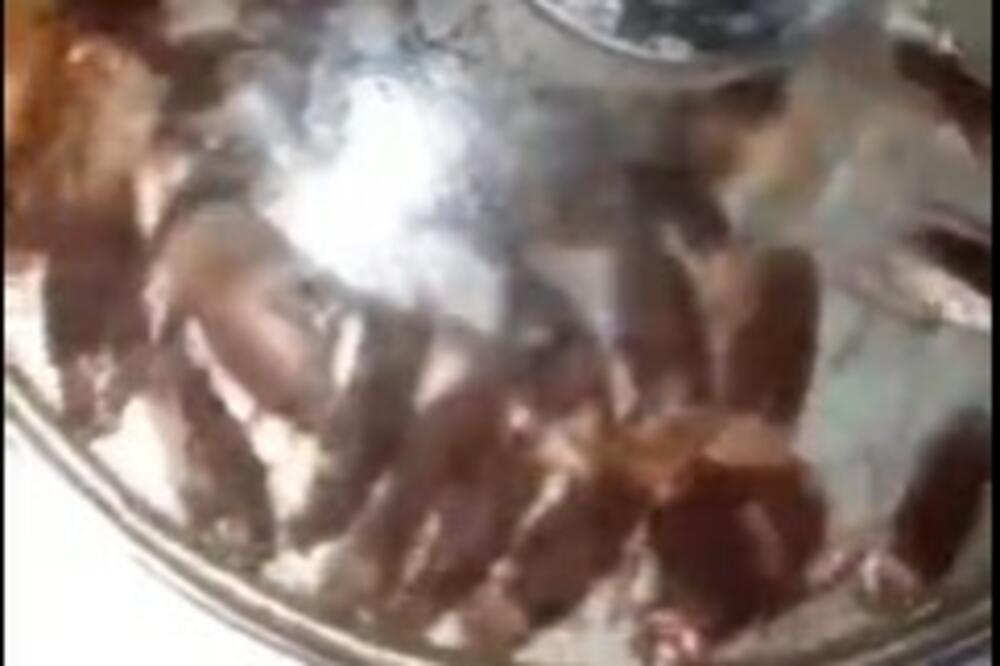 OTVORIO POKLOPAC ODVODA NA SUDOPERI, PA MOMENTALNO ZAŽALIO: Nije za ono sa SLABIM STOMAK, ovo je PREGADNO (VIDEO)