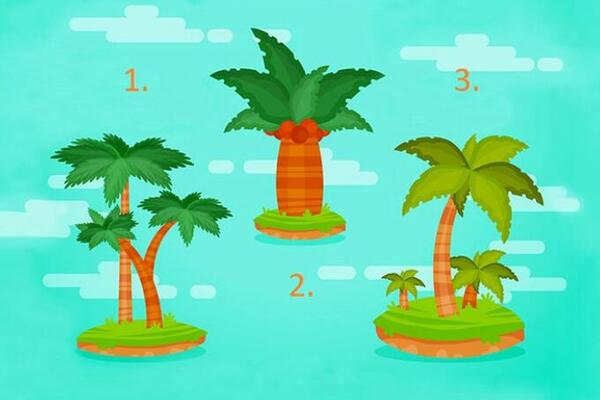 KOJA PALMA VAM JE PRIVUKLA NAJVIŠE PAŽNJE? Dobro pogledajte i saznajte ŠTA VAS OČEKUJE (FOTO)