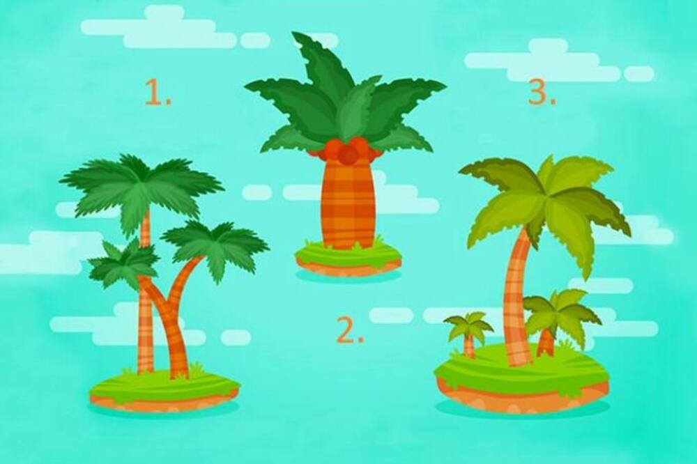 KOJA PALMA VAM JE PRIVUKLA NAJVIŠE PAŽNJE? Dobro pogledajte i saznajte ŠTA VAS OČEKUJE (FOTO)