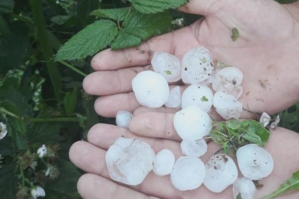 OLUJNO NEVREME NAPRAVILO HAOS U SRBIJI: Ne može se stići do Jagodine, pada grad veličine LEŠNIKA (VIDEO)