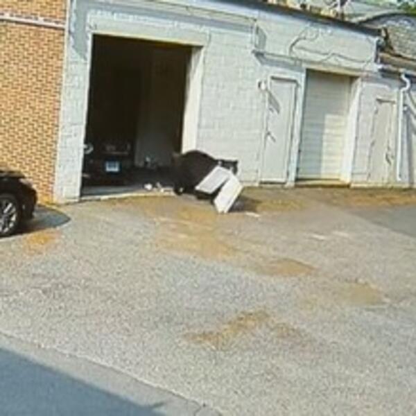 RADNICI U POSLASTIČARNICI PAKOVALI KOLAČE KADA SE POJAVILA NEMAN OD 2 METRA: Snimak gledajte na svoju odgovornsot