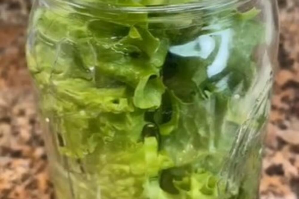 NEVEROVATAN TRIK OD 3 EKUNDE: Zelena salata biće sveža i do mesec dana, dovoljno je samo ovo!