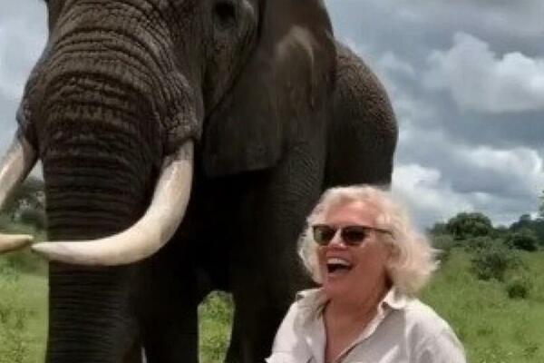 STALA JE PORED SLONA KAKO BI SE SLIKALA SA NJIM: Posle samo par SEKUNDI krenuo je da... (VIDEO)