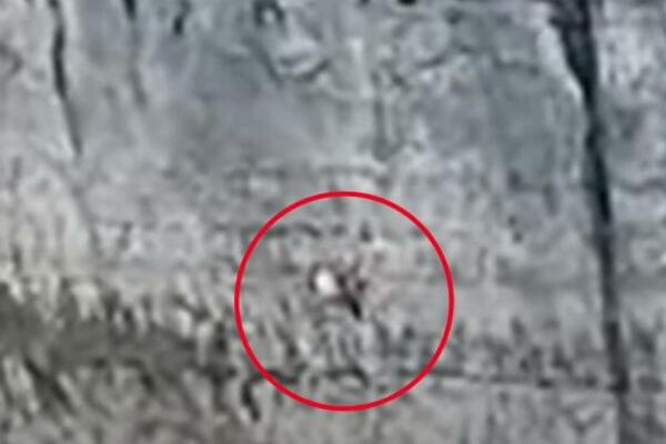 SPASENA HRVATICA KOJA JE VISILA NA STENAMA U BOSNI: Satima bila ZAROBLJENA, evo u kakvom je STANJU (VIDEO)