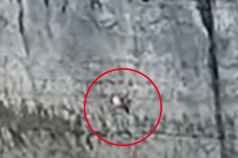 SPASENA HRVATICA KOJA JE VISILA NA STENAMA U BOSNI: Satima bila ZAROBLJENA, evo u kakvom je STANJU (VIDEO)