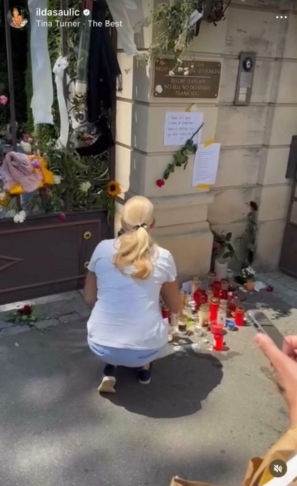 Objava Ilde Šaulić