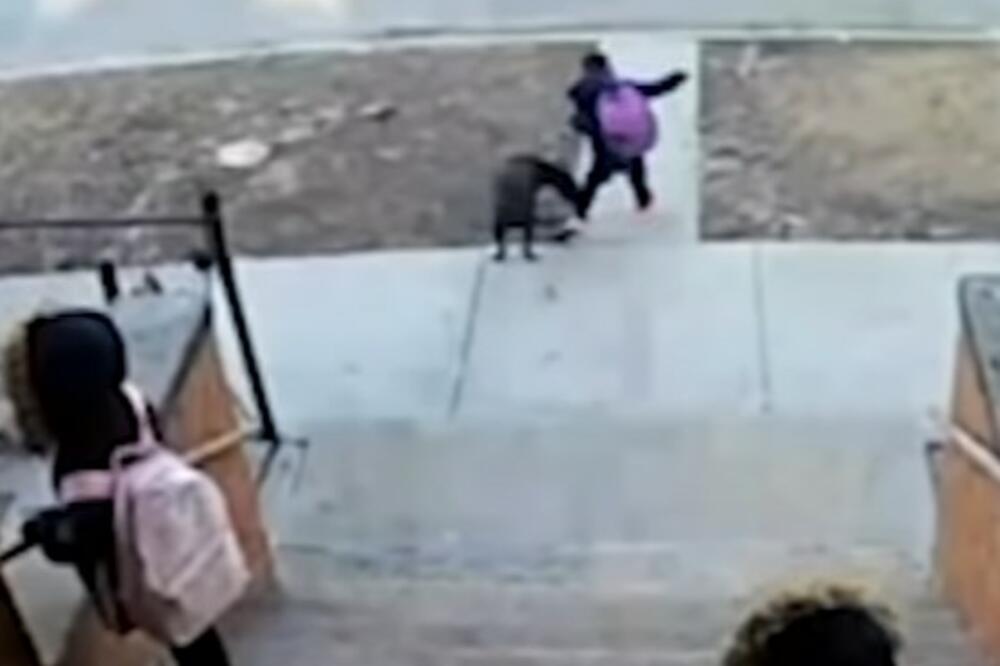 BESAN PAS NAPAO DECU: Mališani bespomoćno VRIŠTALI, nisu mogli NIŠTA DA URADE, da se NAJEŽIŠ (VIDEO)