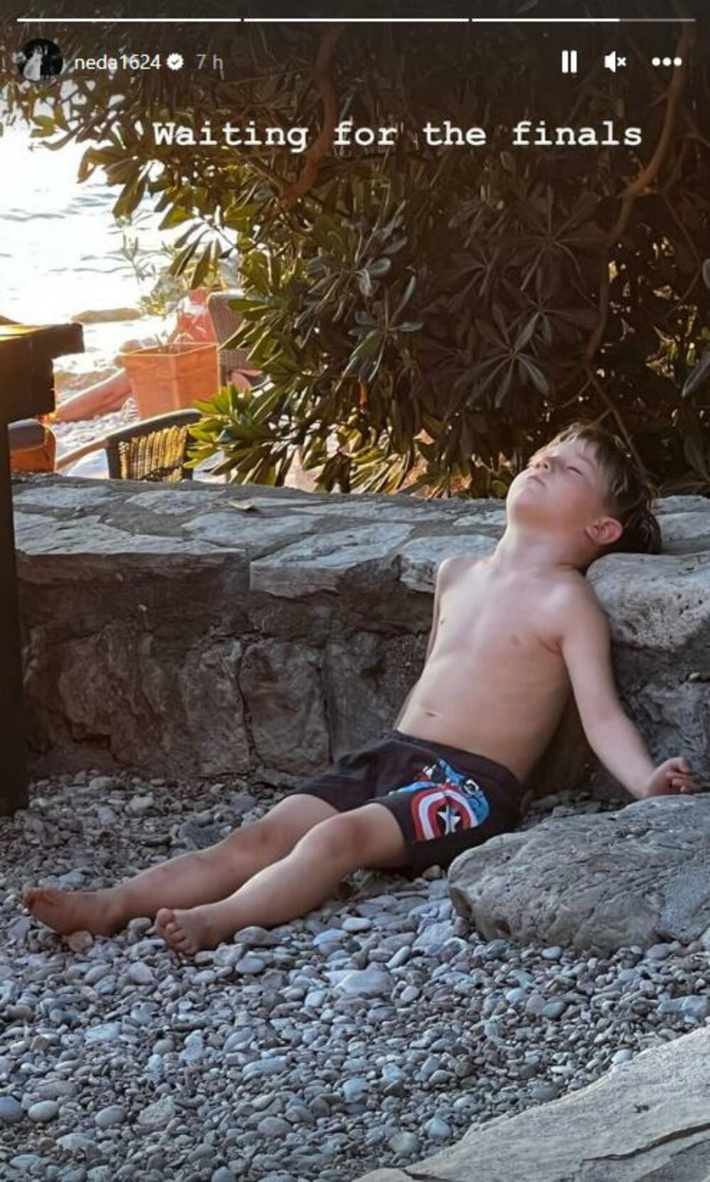 Objava Nemanje Nedovića