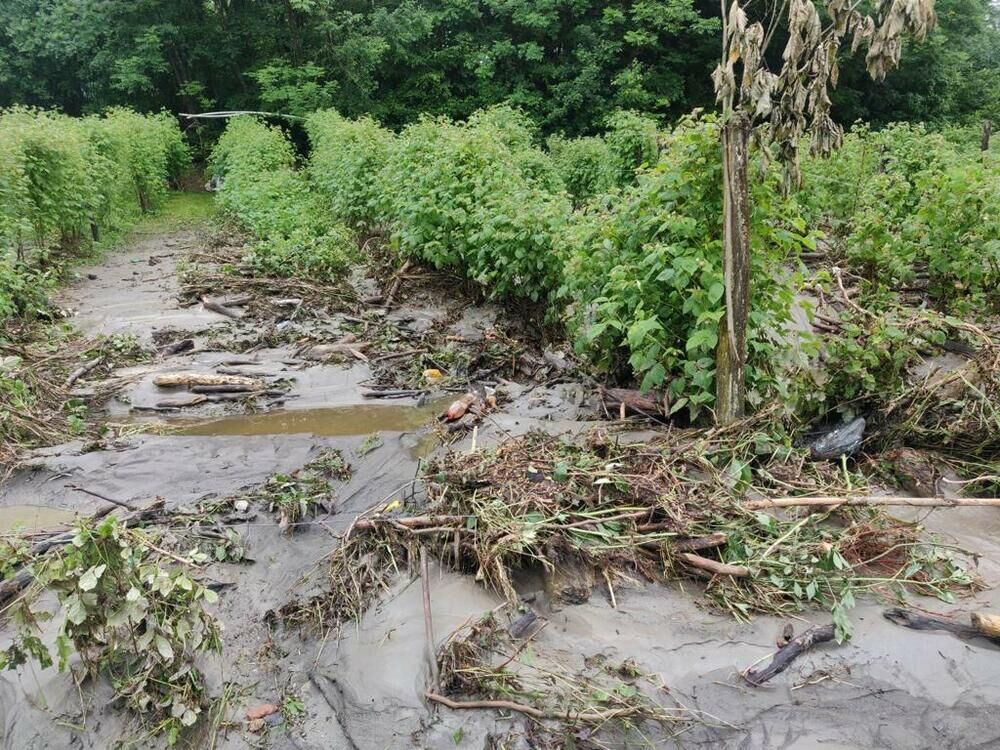 Poplave / Ilustracija