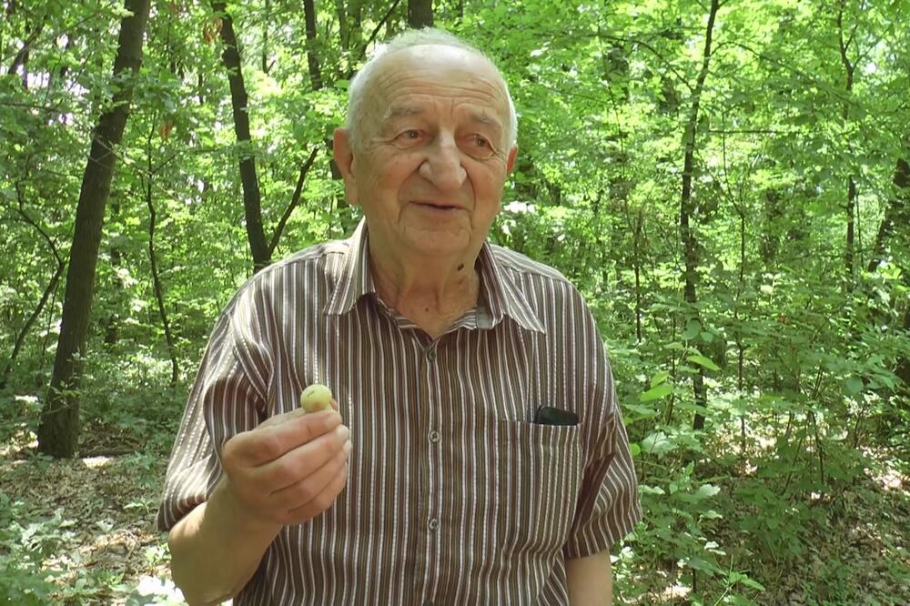 "OD OVIH GLJIVA SE TREBA ČUVATI KAO OD ZMIJE": Deda Savo iz Čačka 20 puta godišnje JEDE samo PEČURKE! (FOTO)