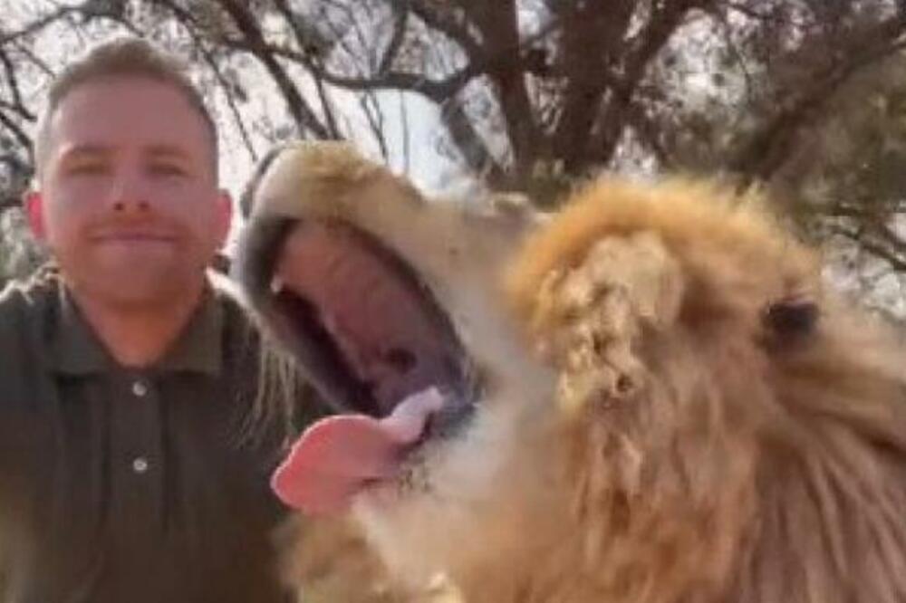 PRIŠAO JE OGROMNOM LAVU, A ZATIM JE USLEDILA NEVEROVATNA SCENA: Radnik sve usnimio, GLEDAJTE ŠTA SE ODIGRALO! VIDEO