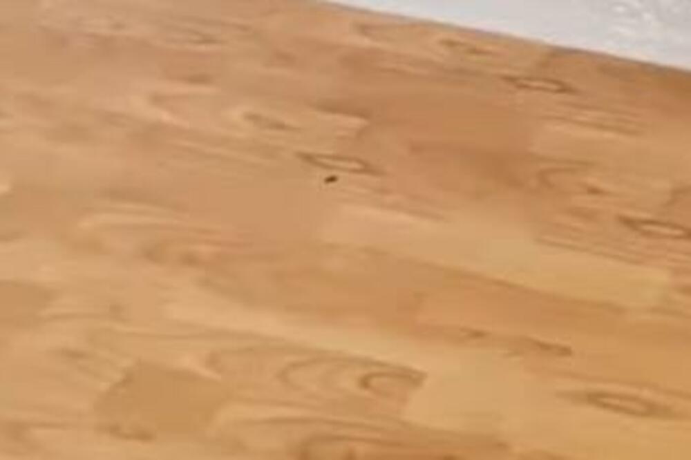 NANESITE OVO DOMAĆE SREDSTVO NA PODOVE I BIĆE KAO NOVI: Prirodni SPREJ koji POTPUNO TRNSFORMIŠE sve DRVENE površine