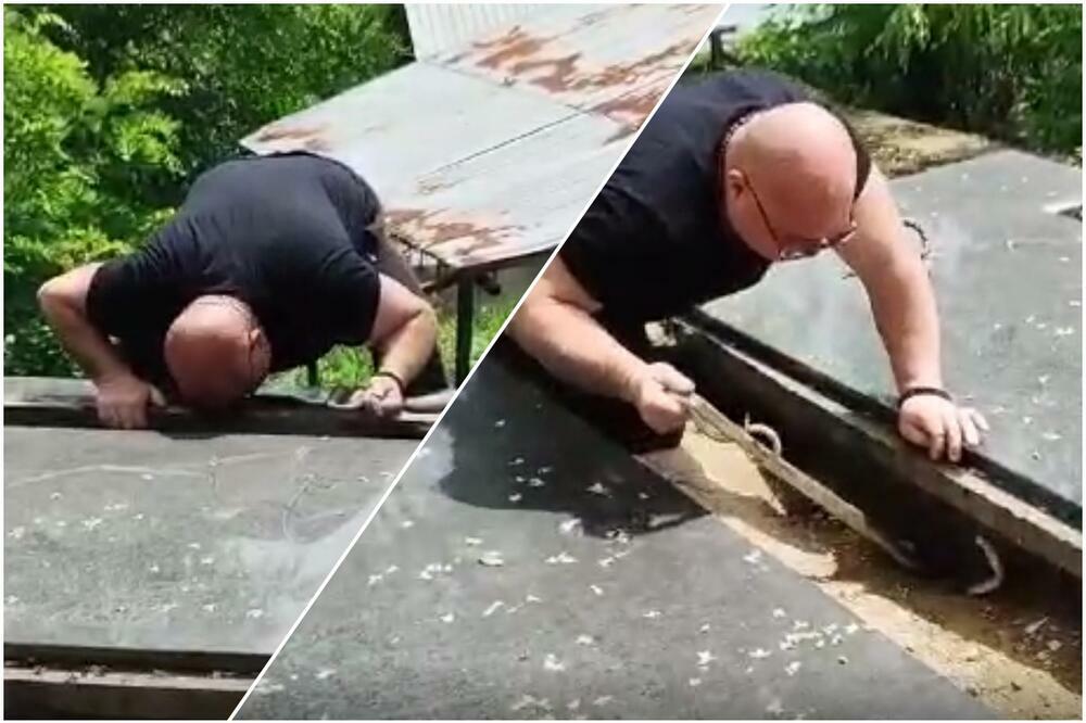 "OVAKO NEŠTO NISMO DOŽIVELI": U Surdulici pošli da sahrane pokojnika, ispod ploče ih sačekalo OVO! (VIDEO)