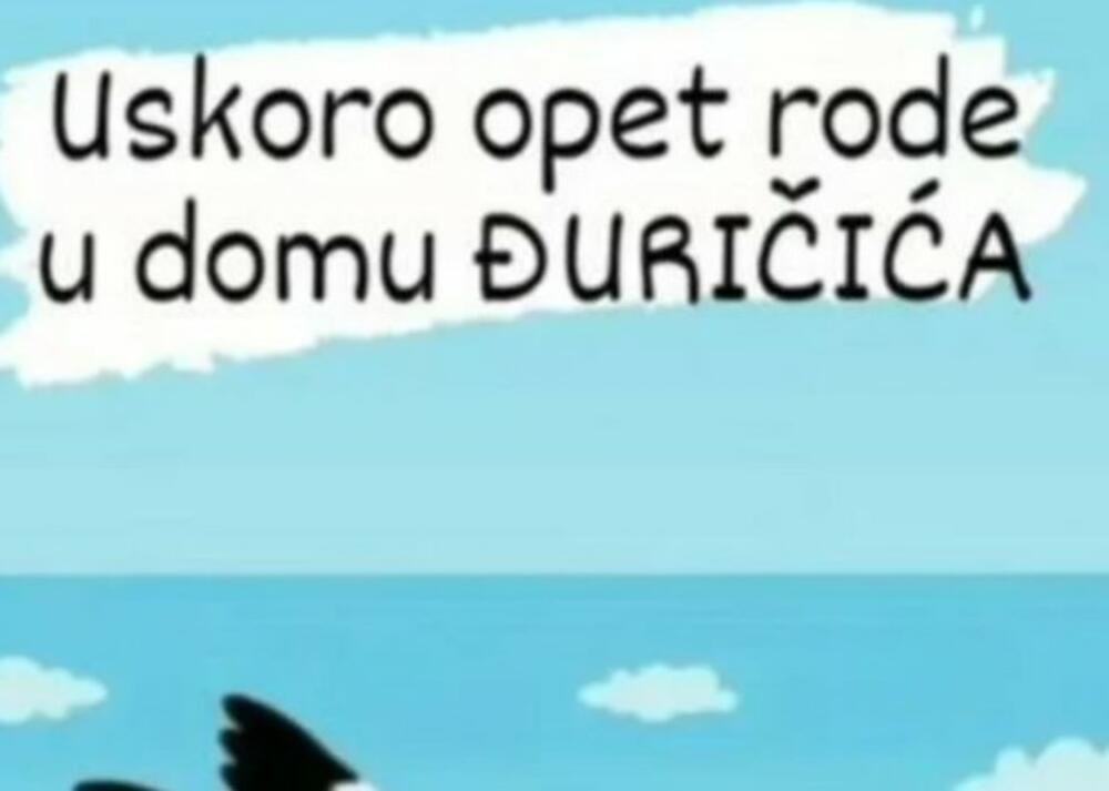- Uskoro opet rode u domu Đuričića - napisao je Miki