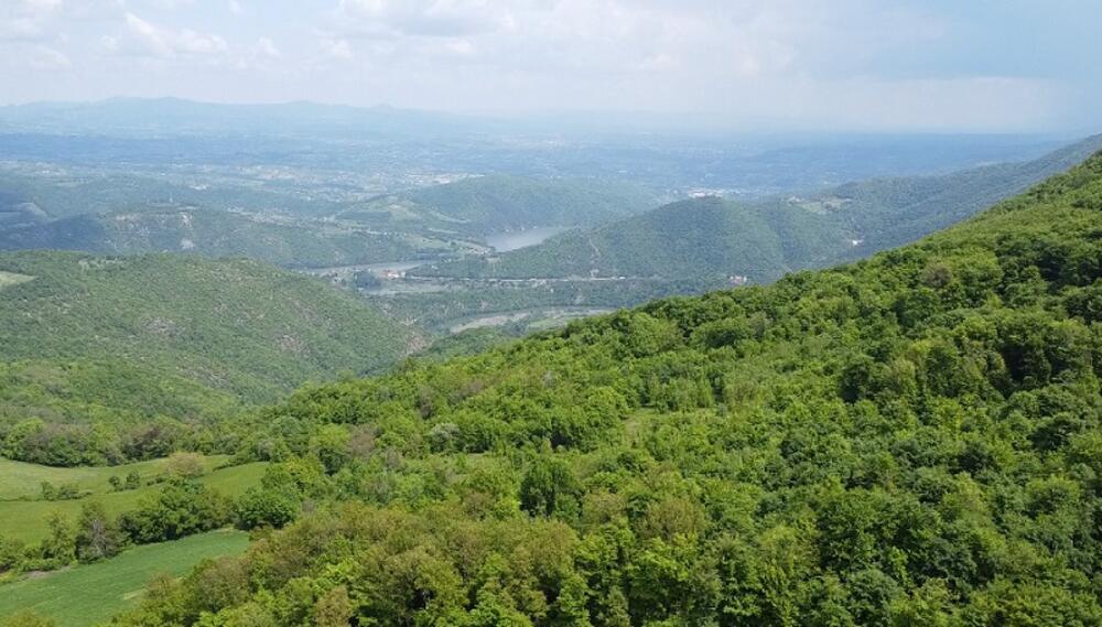 Ovčarsko-kablarska klisura