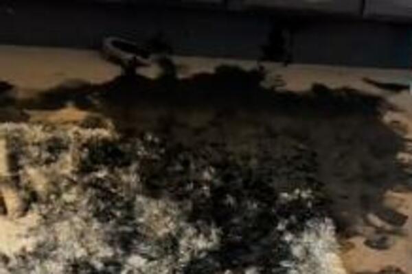 OSTAVIKA JE DECU 5 MINUTA SAME A ONDA JE DOČEKAO KOŠMAR: Ovu scenu NI NAJGIREM NEPRIJATELJU ne bi poželela (VIDEO)