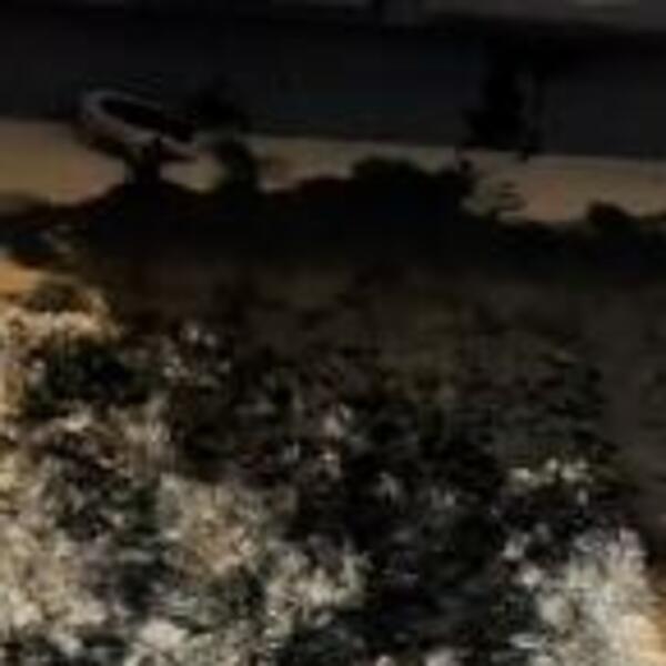 OSTAVIKA JE DECU 5 MINUTA SAME A ONDA JE DOČEKAO KOŠMAR: Ovu scenu NI NAJGIREM NEPRIJATELJU ne bi poželela (VIDEO)