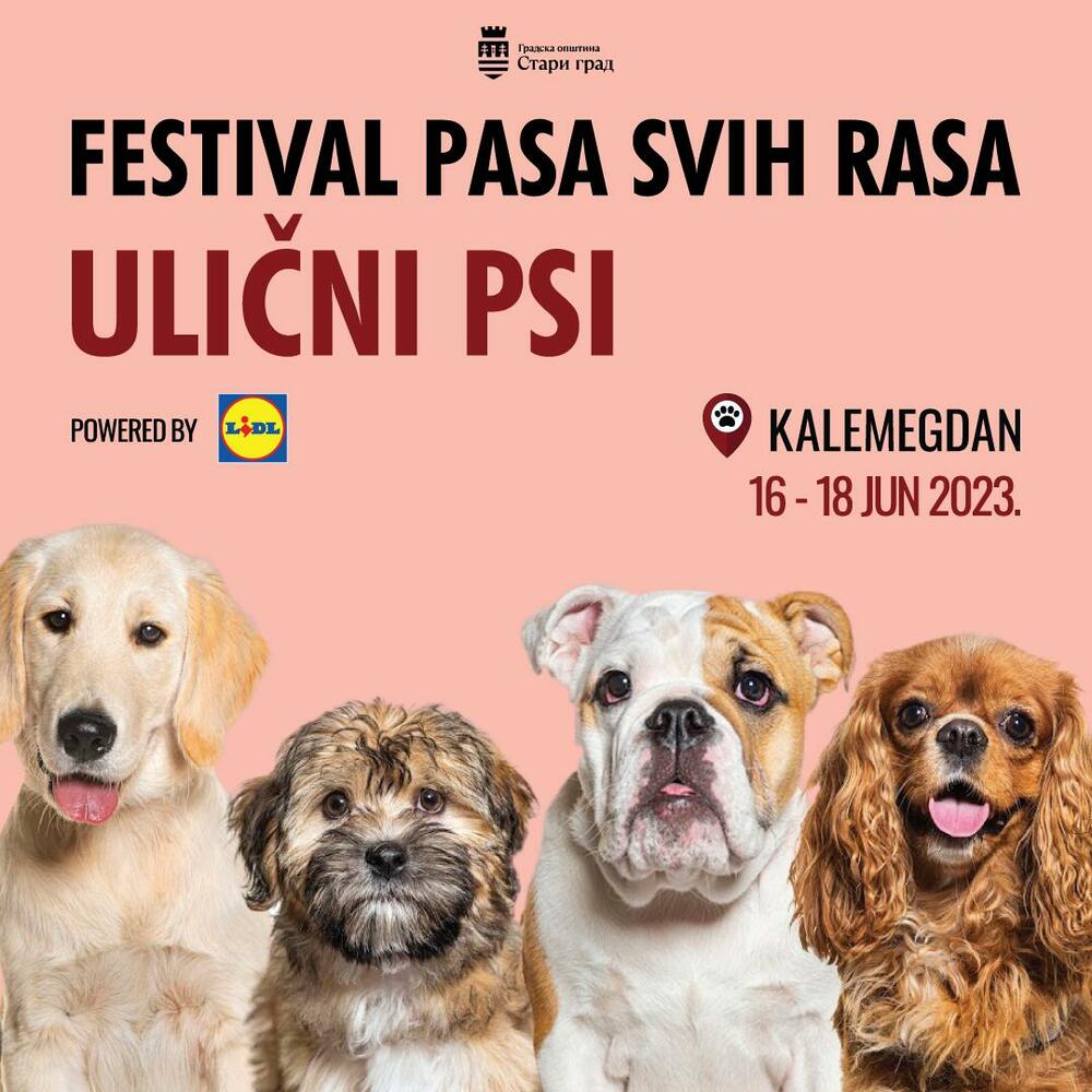 Ulični psi-festival pasa svih rasa