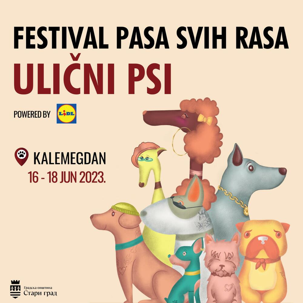 Ulični psi-festival pasa svih rasa