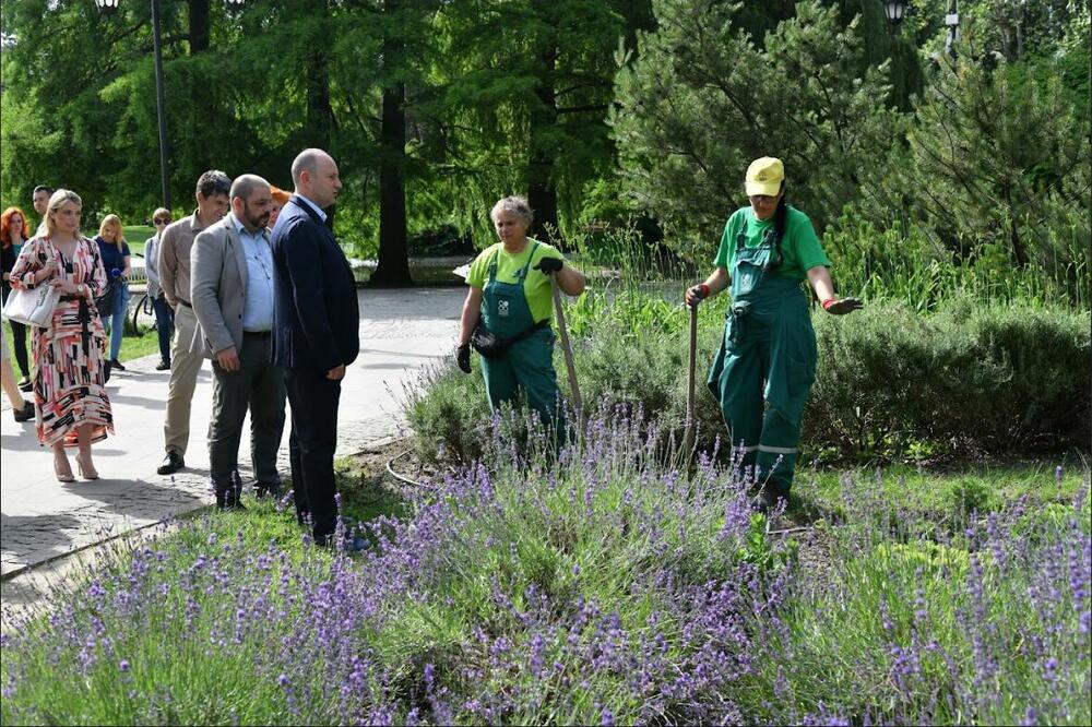 U Dunavskom parku obeležen Svetski dan zaštite životne sredine - u planu su novi parkovi za Novi Sad
