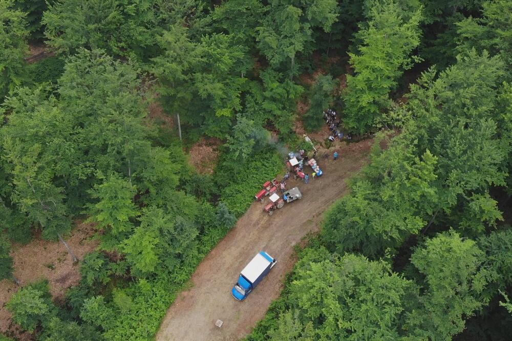 Nakon boravka u ovoj šumi u Srbiji, desilo se čudo! Veruje se da je magično, ljudi odmah nađu muža ili ženu (FOTO)
