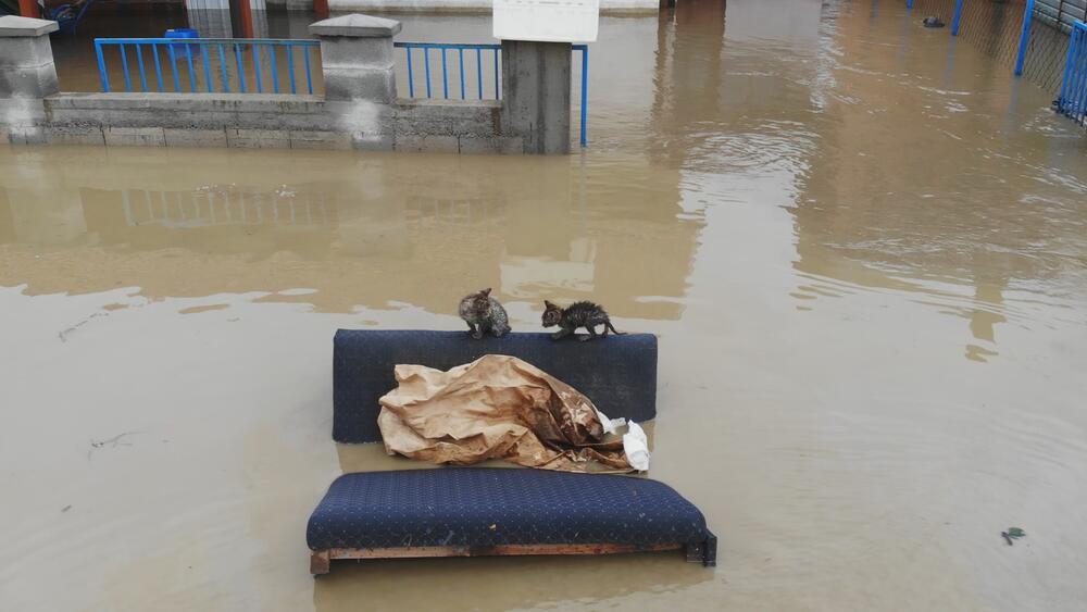 poplave u Kosjeriću