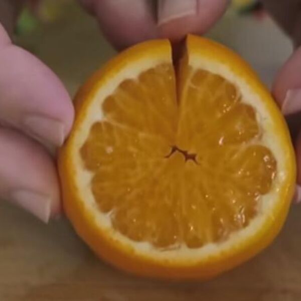 TEST SA POMORANDŽOM RAZDRMAO MREŽE: Mnogi su posle ovoga raskinuli - ovako ćete saznati koliko mu značite