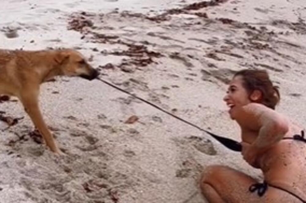 DANIJELA SE IGRALA SA PSOM, A ONDA JE CELA PLAŽA VIDELA NJENE GRUDI: Ovaj snimak bukvalno oduzima dah (VIDEO)