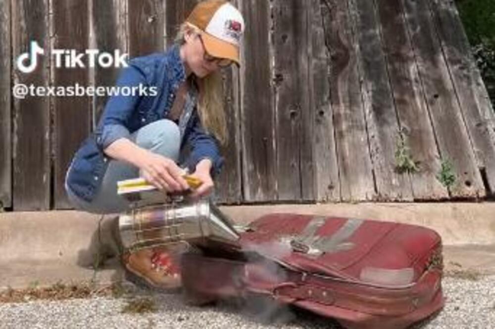 PRONAŠLA JE STARI KOFER, A ONDA JE KRENULA DA GA OTVARA: Ono što je izašlo iz NJEGA bilo je JEZIVO (VIDEO)