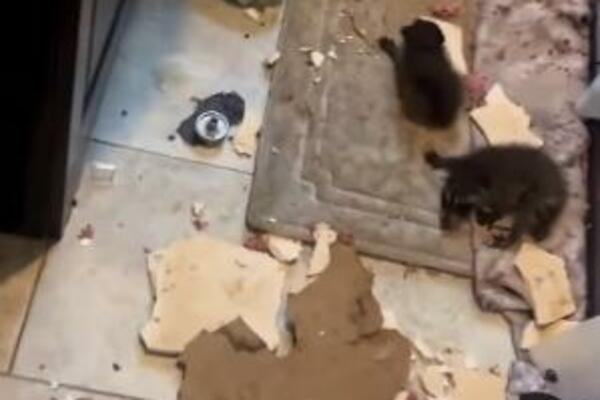 RENOVIRAO KUPATILO PA ZATEKAO NEŠTO NEOČEKIVANO: Kad je video šta mu je PALO, UHVATIO SE ZA GLAVU (VIDEO)