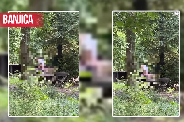 UŽASNA SCENA ZABELEŽENA U 9 UJUTRU U BANJIČKOJ ŠUMI: Ovde se najviše okupljaju DECA, SRAMOTA! (VIDEO)