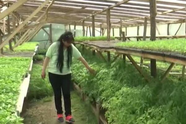 HUMANI GEST VERICE IZ ČAČKA GANUO SVE! Nakon objave na društvenim mrežama POZIVI joj samo stižu (FOTO)