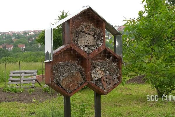 PRVI HOTEL ZA INSEKTE U SRBIJI: Pogledajte samo kako izgleda i GDE SE NALAZI, oduševićete se (FOTO)