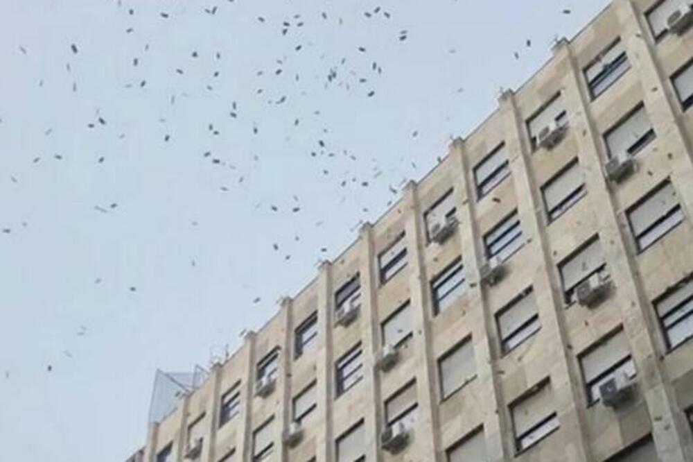LETE NOVČANICE PO KNEZU: Beograđani gledaju i NE VERUJU, neki potrčali da skupe što više (VIDEO)