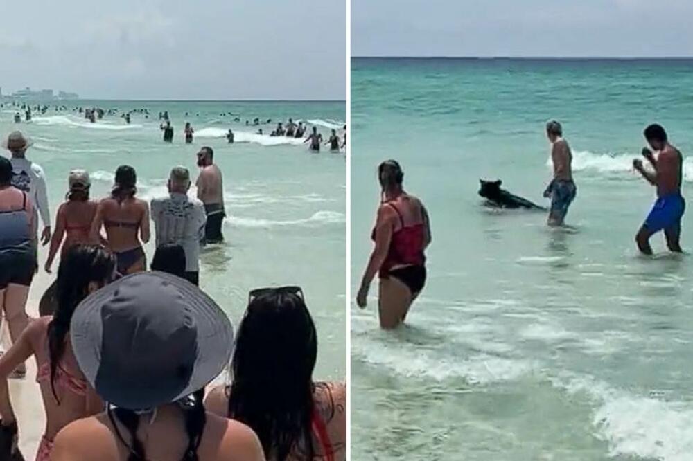 NEVEROVATNO BIĆE SNIMLJENO U VODI, LJUDI POČELI DA VRIŠTE: Kamera sve ZABELEŽILA, šta je OVO?! (VIDEO)