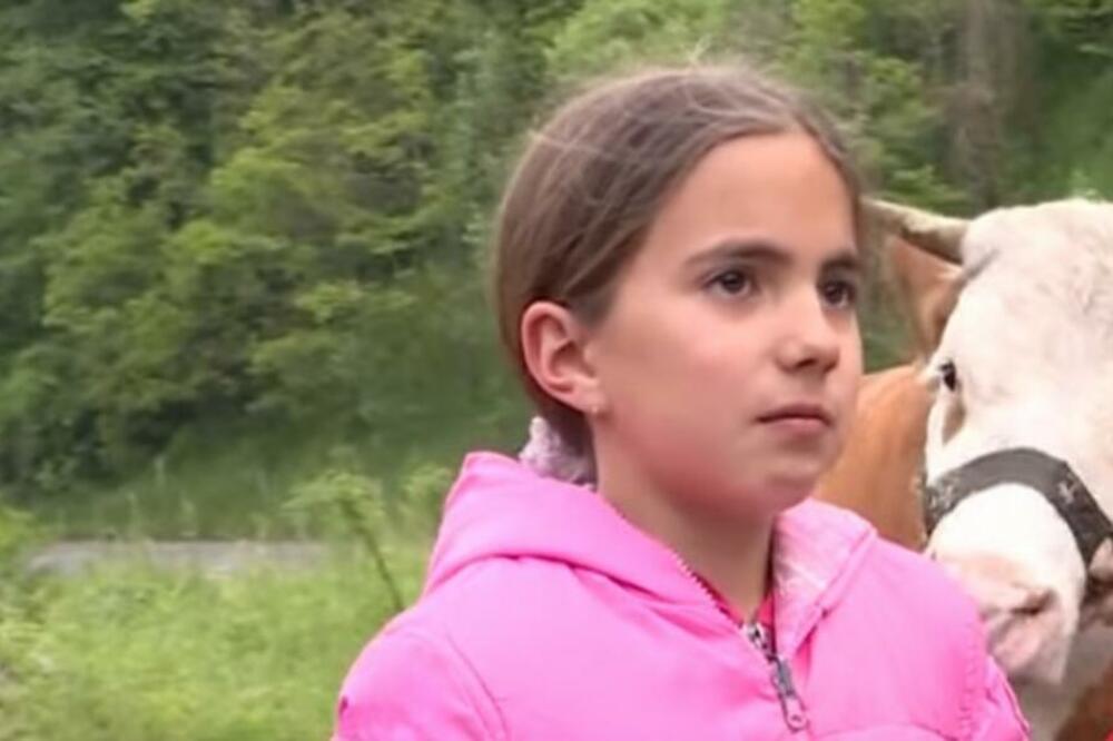 TIJANA ČUVA 4 KRAVE I NAJMLAĐA JE PASTIRICA: Rasplakala je CELU SRBIJU zbog SVOJE JEDINE ŽELJE! (VIDEO)