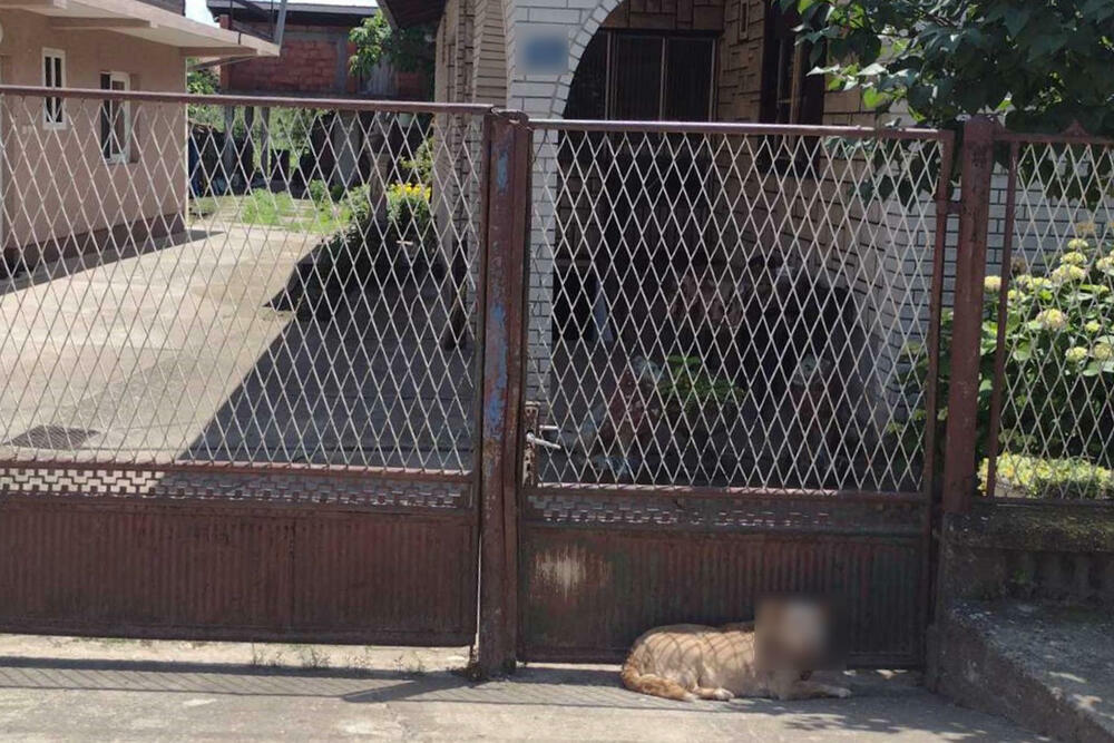 Porodica Đokić, Moravac