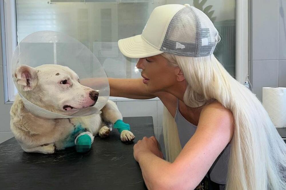 CELA SRBIJA U SUZAMA ZBOG JELENE KARLEUŠE! Ovaj SNIMAK je danas SVIMA U MISLIMA: Morate pogledati o čemu je reč